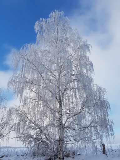 Winterwetter