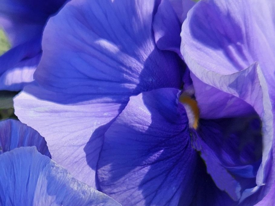 I. Lorenzen - Stiefmutter