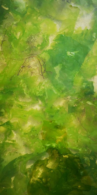 A. Gnaß - Wassersalat