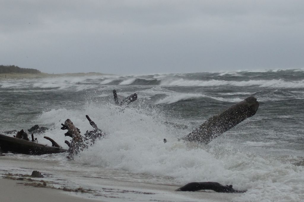 G. Eigelt - Bornholm
