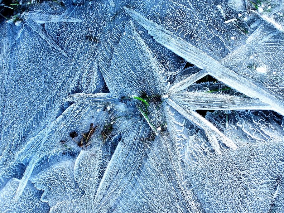 G. Miszewski - Eisblumen blau