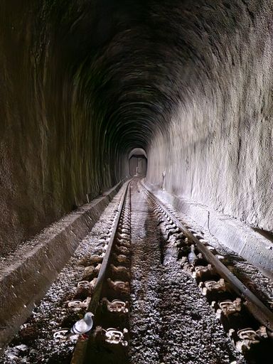 I. Lorenzen - Schellfischtunnel