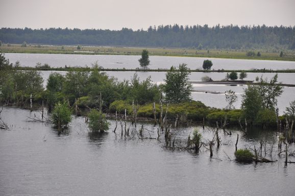 I. Ehlers - Pietzmoor