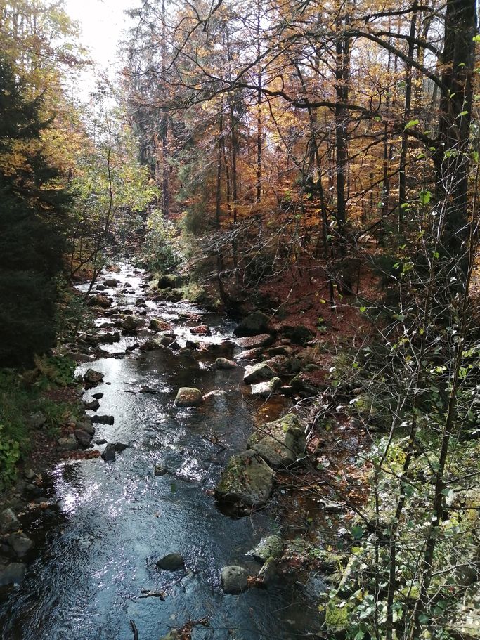 H. Kühl - kalte Bode