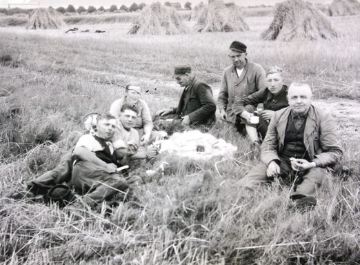 H. Kühl - Ernte (ca. 1940)