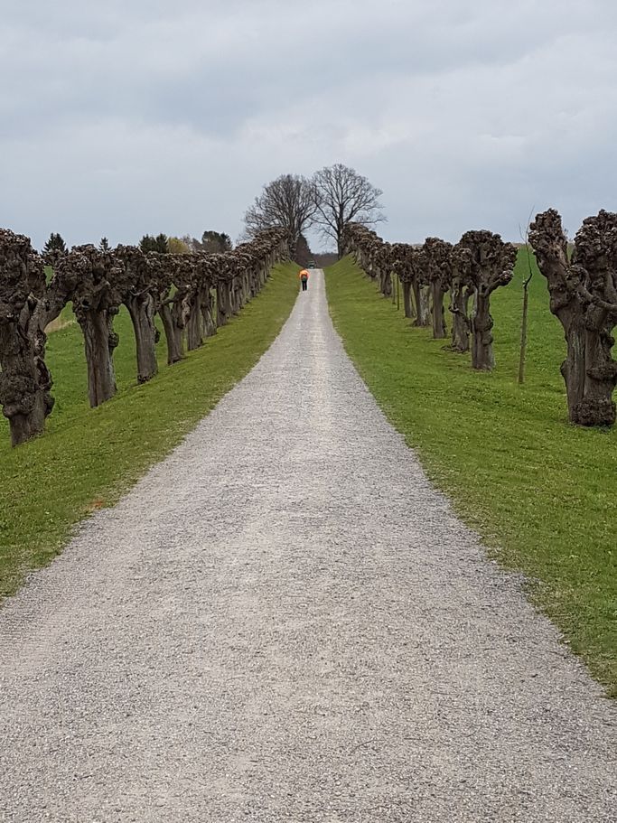 I. Lorenzen - Bothmer Schloss
