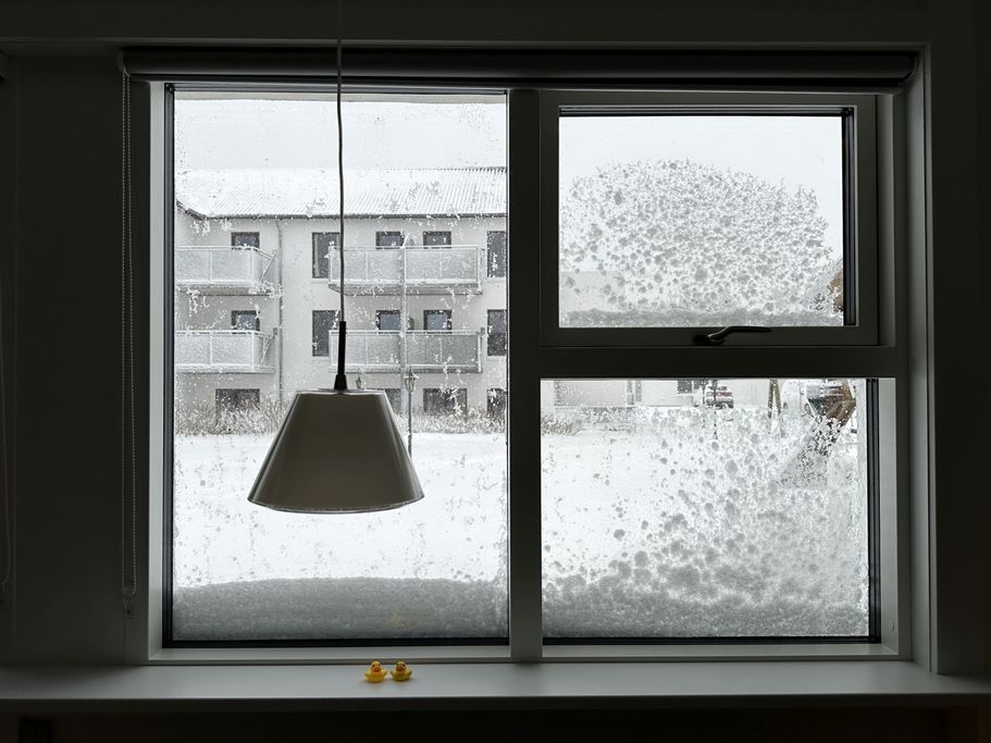 M. Kluge - Schnee-Enten